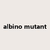 albino mutant是什么意思