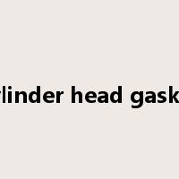 cylinder head gasket是什么意思