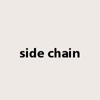 side chain是什么意思