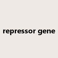 repressor gene是什么意思
