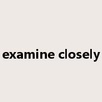 examine closely是什么意思