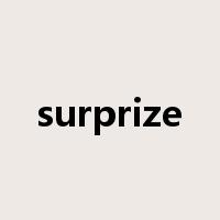 surprize是什么意思