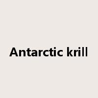 Antarctic krill是什么意思