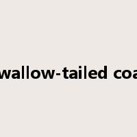 swallow-tailed coat是什么意思