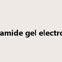 polyacrylamide gel electrophoresis是什么意思