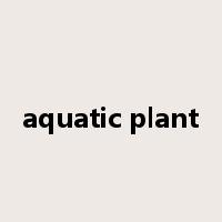 aquatic plant是什么意思