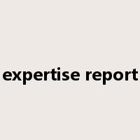 expertise report是什么意思