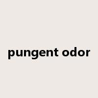 pungent odor是什么意思