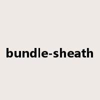 bundle-sheath是什么意思