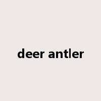 deer antler是什么意思