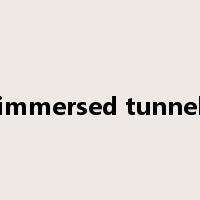 immersed tunnel是什么意思