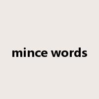 mince words是什么意思