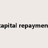 capital repayment是什么意思