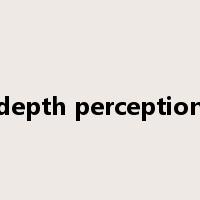 depth perception是什么意思
