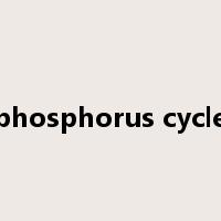 phosphorus cycle是什么意思