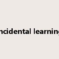 incidental learning是什么意思