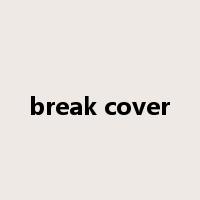 break cover是什么意思