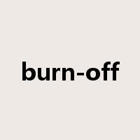 burn-off是什么意思