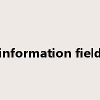 information field是什么意思