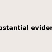 substantial evidence是什么意思