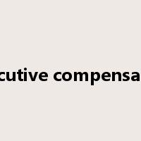 executive compensation是什么意思