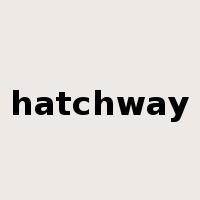 hatchway是什么意思