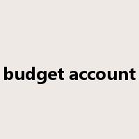 budget account是什么意思