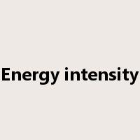 Energy intensity是什么意思