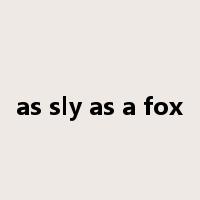 as sly as a fox是什么意思