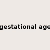 gestational age是什么意思