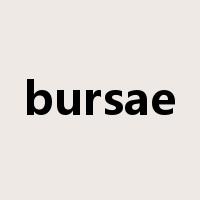 bursae是什么意思