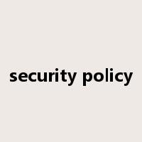 security policy是什么意思