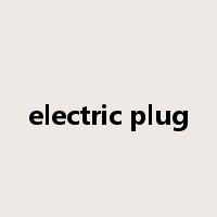 electric plug是什么意思