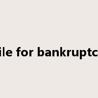 file for bankruptcy是什么意思