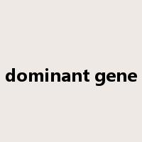 dominant gene是什么意思