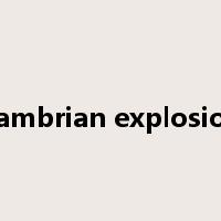 Cambrian explosion是什么意思