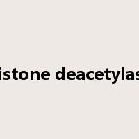 histone deacetylase是什么意思