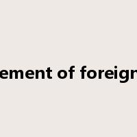 disbursement of foreign capital是什么意思