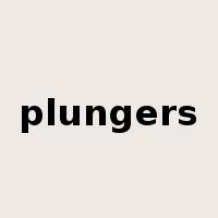 plungers是什么意思