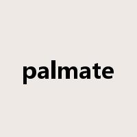 palmate是什么意思