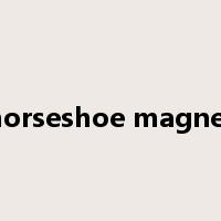 horseshoe magnet是什么意思