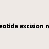 nucleotide excision repair是什么意思