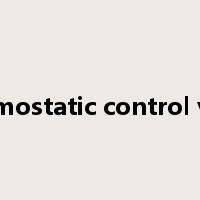 thermostatic control valve是什么意思