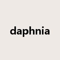 daphnia是什么意思