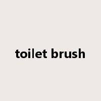 toilet brush是什么意思