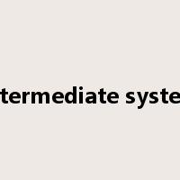 intermediate system是什么意思