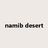 namib desert是什么意思