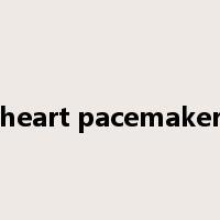 heart pacemaker是什么意思
