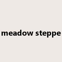 meadow steppe是什么意思