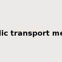 public transport means是什么意思